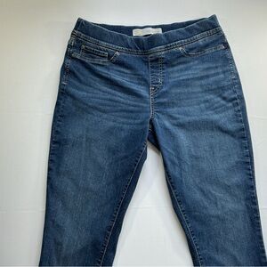 Signature by Levi Strauss Women's Indigo Stretch Jeggings